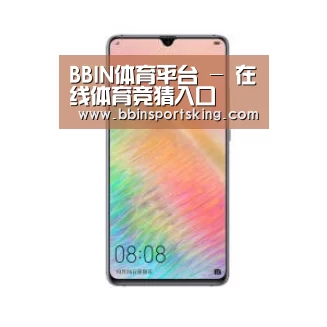 华为HUAWEI NOTE 8