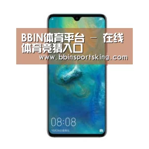 华为无线快充手机