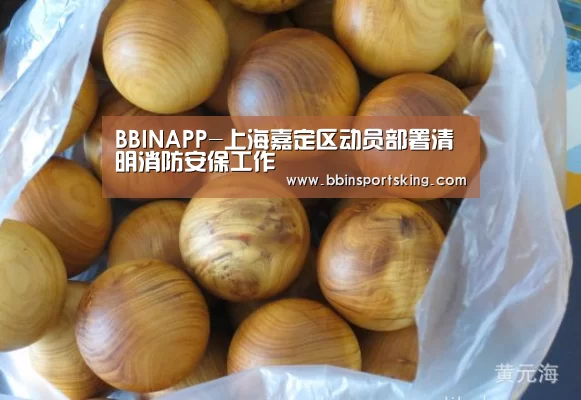 BBINAPP-上海嘉定区动员部署清明消防安保工作(图4) BBIN电竞