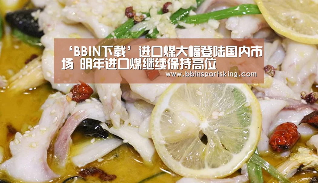 ‘BBIN下载’进口煤大幅登陆国内市场 明年进口煤继续保持高位(图1) BBIN下载