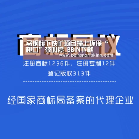 BBIN下载
