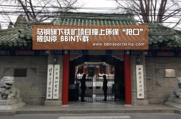 BBIN下载
