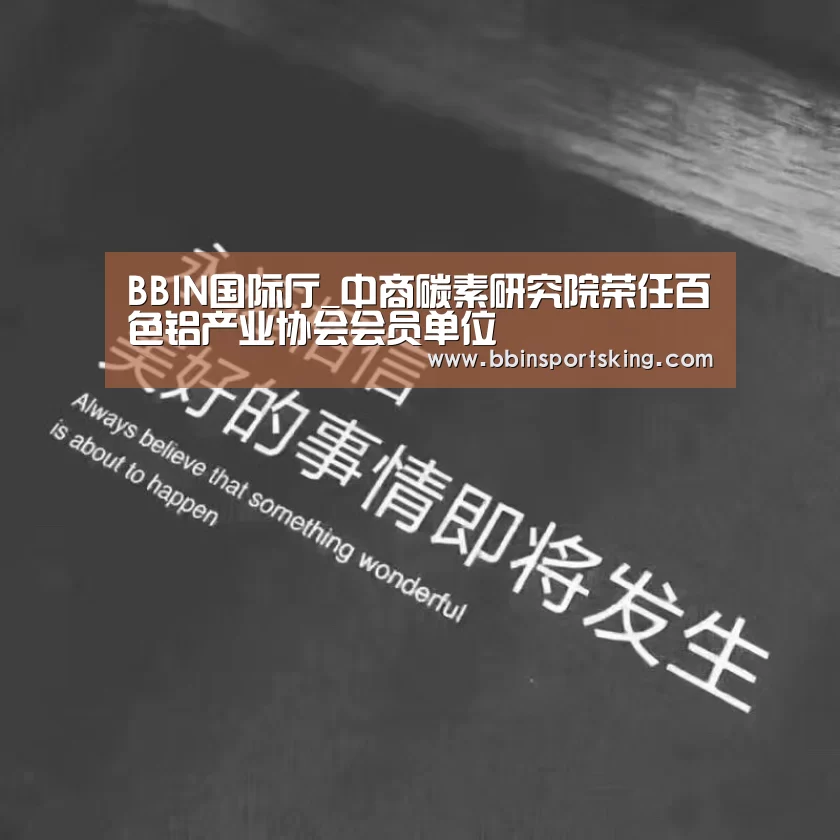 BBIN国际厅_中商碳素研究院荣任百色铝产业协会会员单位(图1) BBIN国际厅